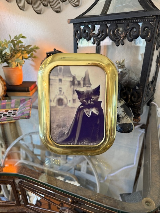 Vintage Other - Vintage Solid Brass 5” X 7” Photo Frame with Gothic Black Cat